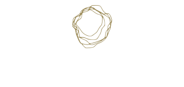 In Home Blinds - Transforming Spaces
